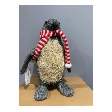 Pengiun in Scarf